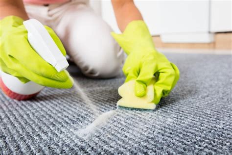 The Secret Weapon for Instantly Removing Tough Carpet Stains: Stain Magic Carpet Cleaner